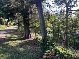 Terreno a la venta Santa Rosalía, km 12.5 CAES - 4