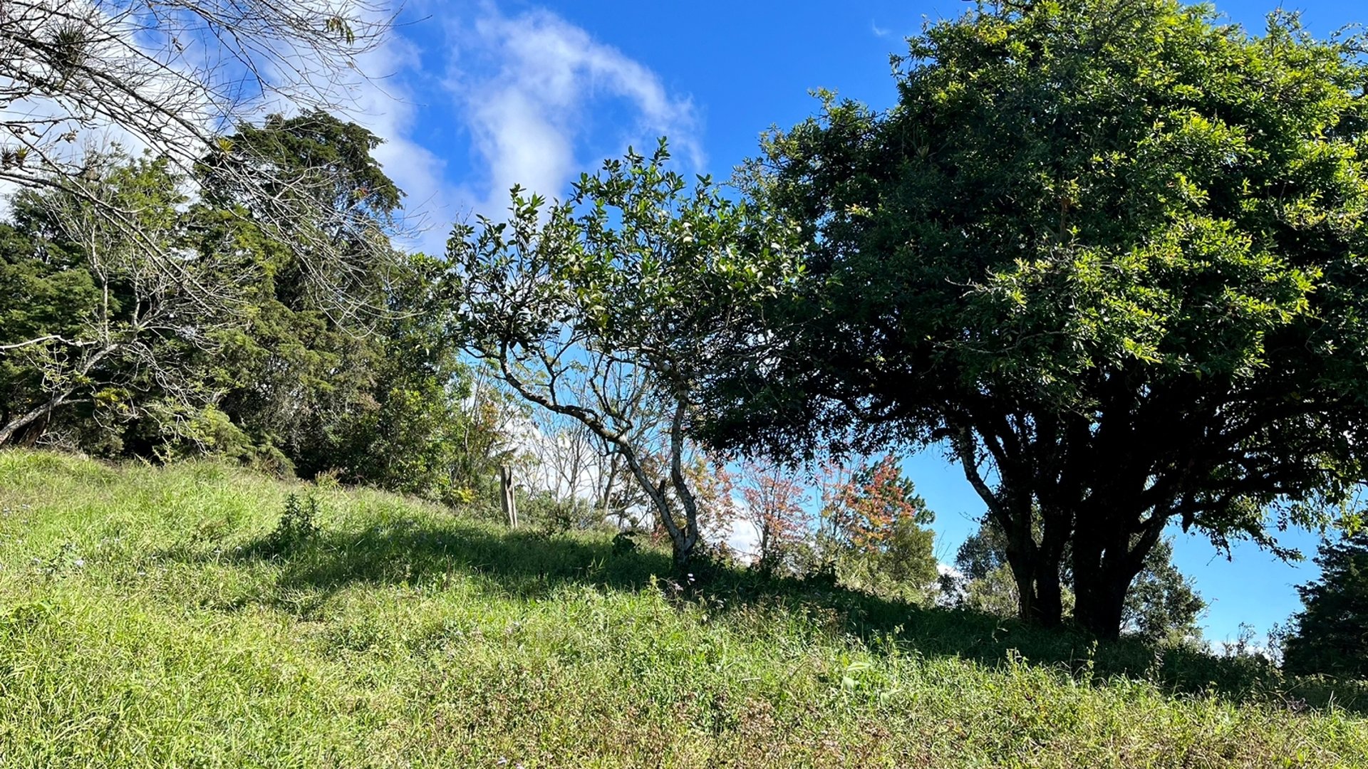 VENTA Finca Flor de Carmelo San José Pínula  - Miniatura 6
