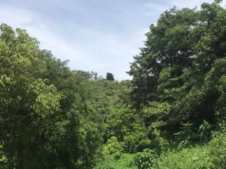 Terreno en Venta en Carretera a Santa Elena Barillas - 5