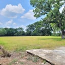 VENTA Terreno Industrial para Bodega Km 67.5 a Taxisco - Miniatura 3
