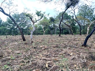 TERRENO EN VENTA EN FRAIJANES - 3