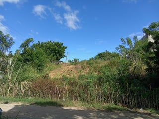 4 LOTES EN VENTA EN EL VALLE DEL MOTAGUA GUALAN ZACAPA - 3