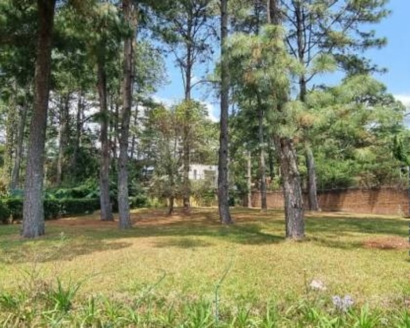 Terreno en Venta, Zona 11 (V8623)
