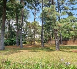 Terreno en Venta, Zona 11 (V8623)