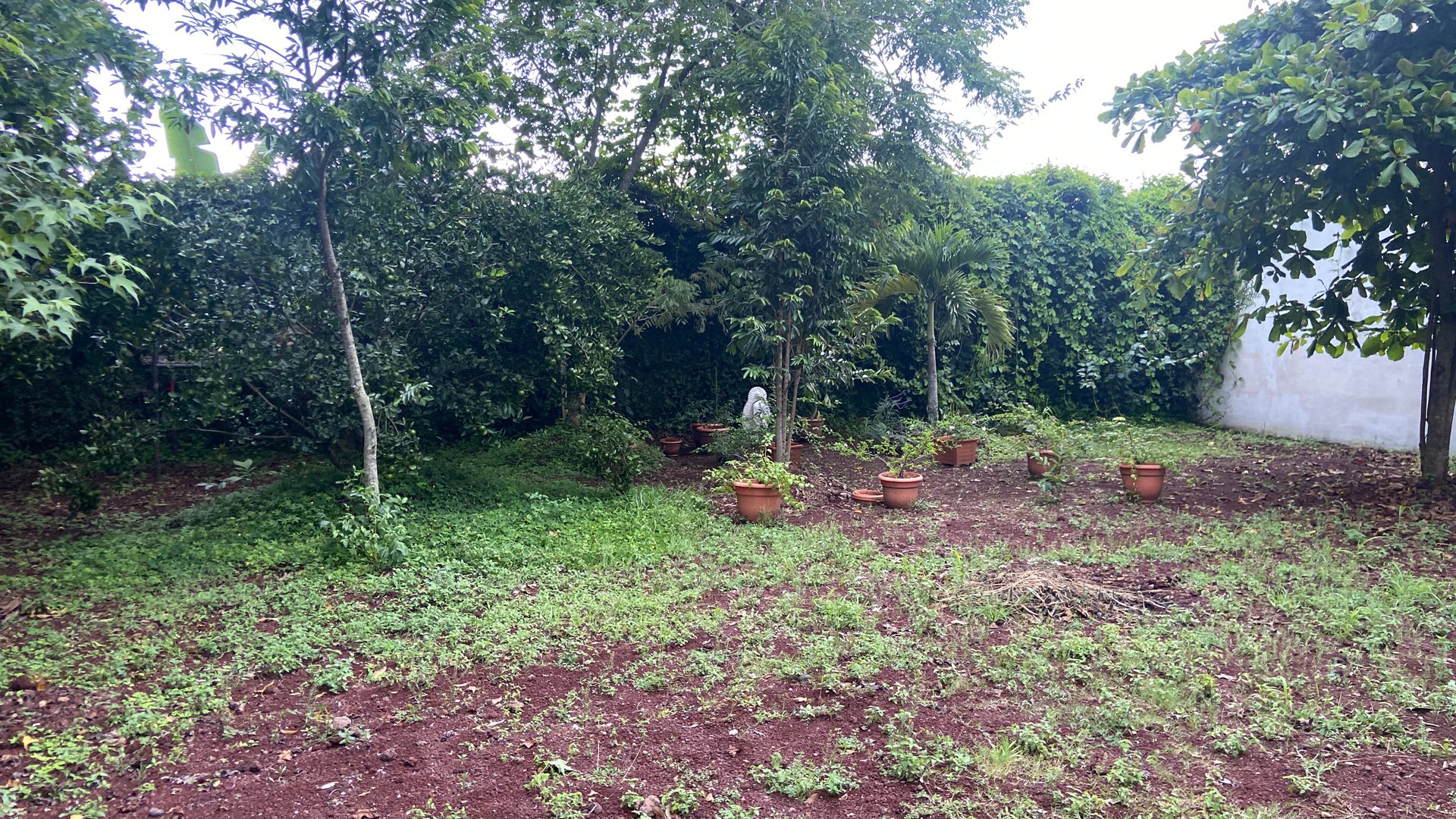 TERRENO CON LOCAL COMERCIAL EN VENTA EN EL CERINAL, BARBERENA - Miniatura 16