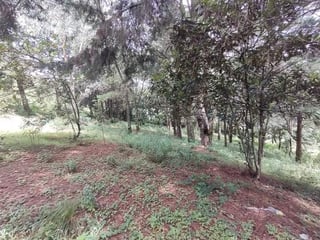 TERRENO EN VENTA EN EL KM 18.5 CARRETERA EL SALVADOR CAMINO A FRAIJANES - 2