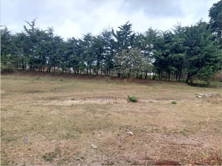 Terreno totalmente plano ideal para inversionistas en zona 10 Ref-5737 - 2