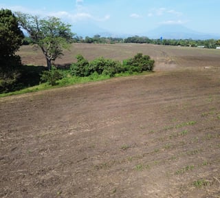 Finca en VENTA en La Democracia, Escuintla