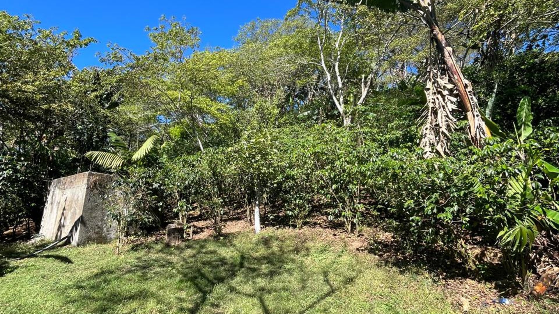Finca en Venta en Fraijanes, Guatemala | Km 16-30