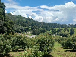 Terreno Comercial y Residencial en Venta Santiago Sac. - 3