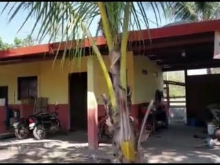 Finca en Venta en Cuyuta Masagua Escuintla - 2