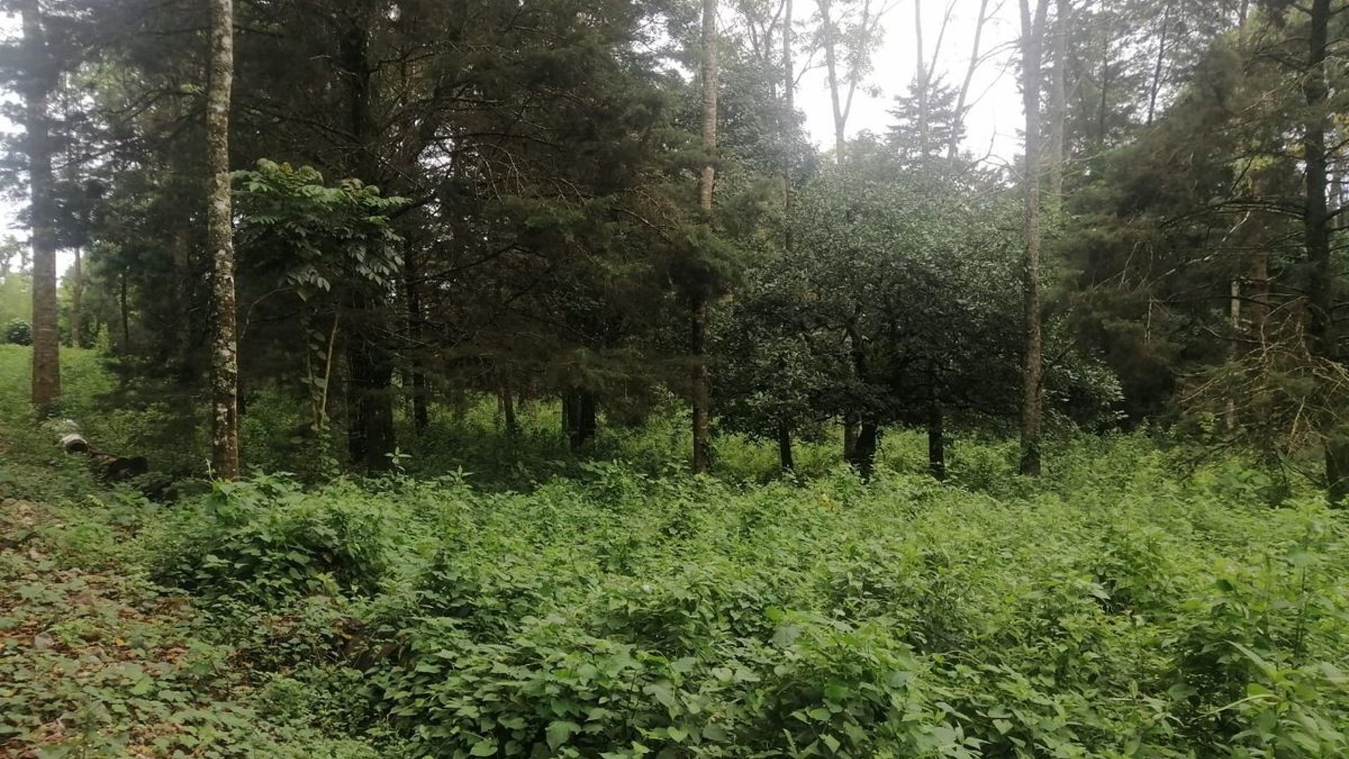 Terreno en Venta – Carretera a El Salvador, Km 30, camino a Santa Elena Barillas