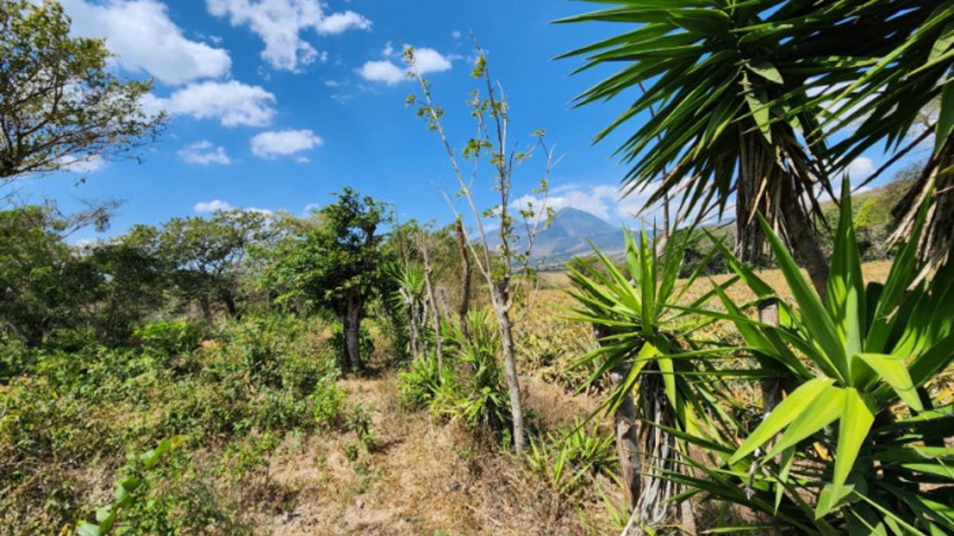 Atención Inversionistas, Terreno en Venta Guatemala - Miniatura 19
