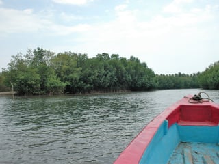 Land for Sale in Tulate, Guatemala - 7185 m² - $199,000 - Image 18