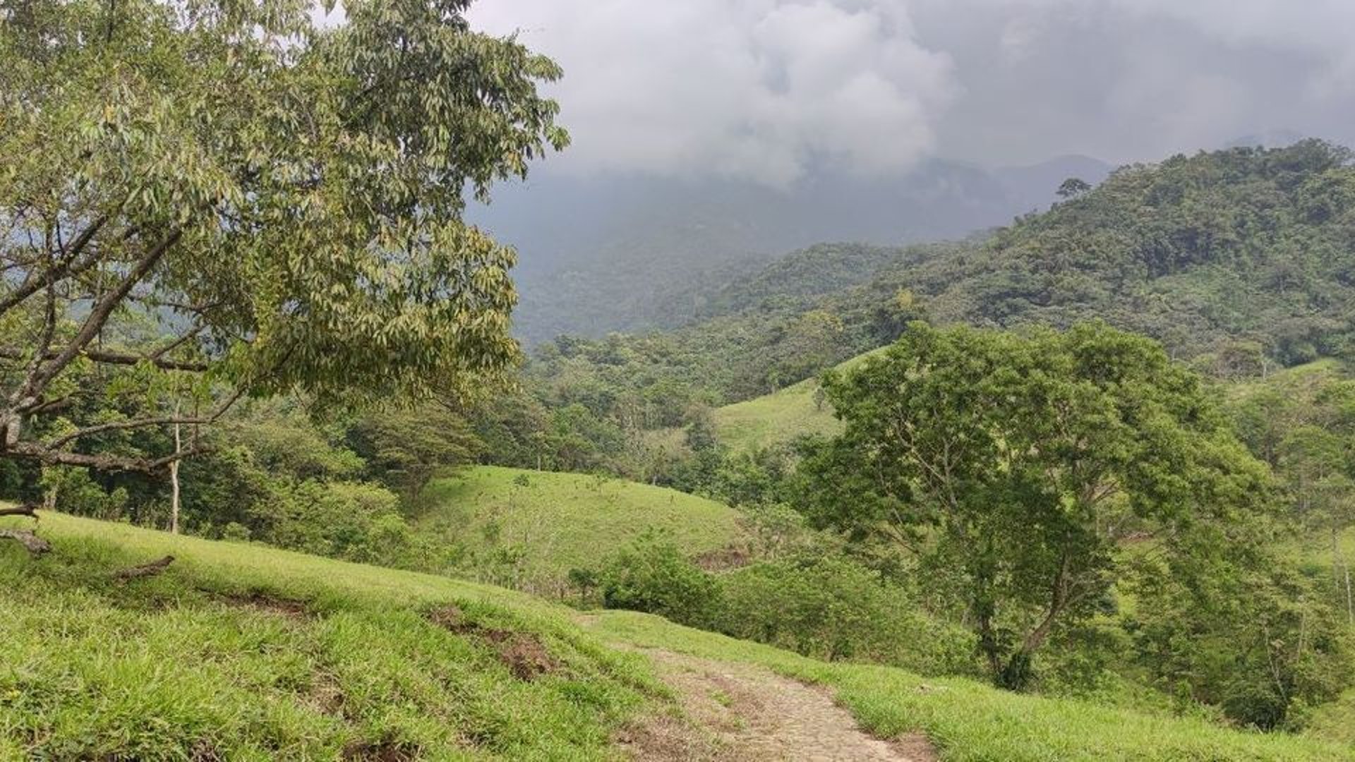 Finca en VENTA de 2 caballerías en Chicacao, Suchitepéquez - Miniatura 11