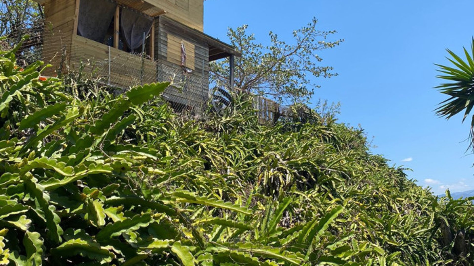 Terreno en venta en Aldea Chuitinamit Santiago Atitlán - Miniatura 3