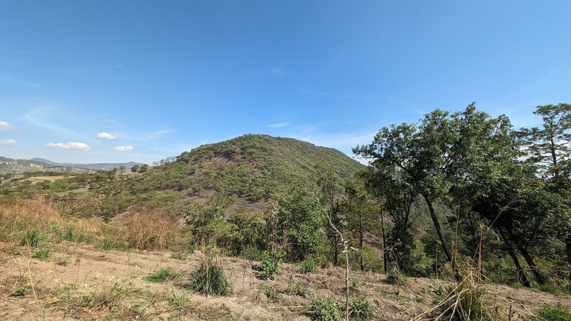 Km23 carretera Atlantico / Finca en venta - Miniatura 7