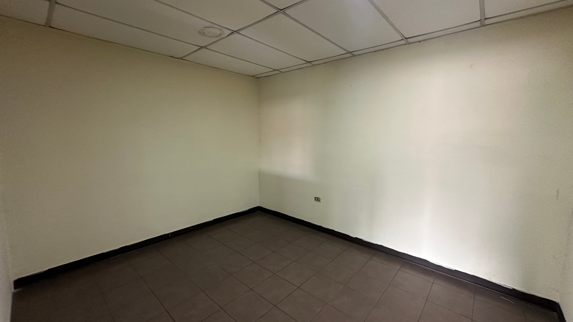 Ofibodega en Renta en Zona 12 - Miniatura 4