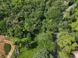 TERRENO EN VENTA EN IZABAL, CAMINO DE LA RUIDOSA  A RIO DULCE - 2