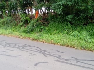 Terreno en VENTA en  Km. 46.5 Villa Canales, - Image 5