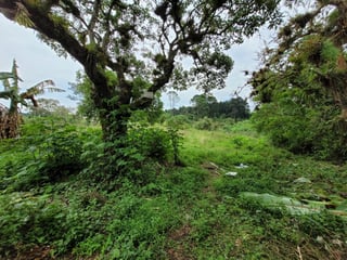 Terreno en Venta Km. 18.4 Carretera a El Salvador - 2