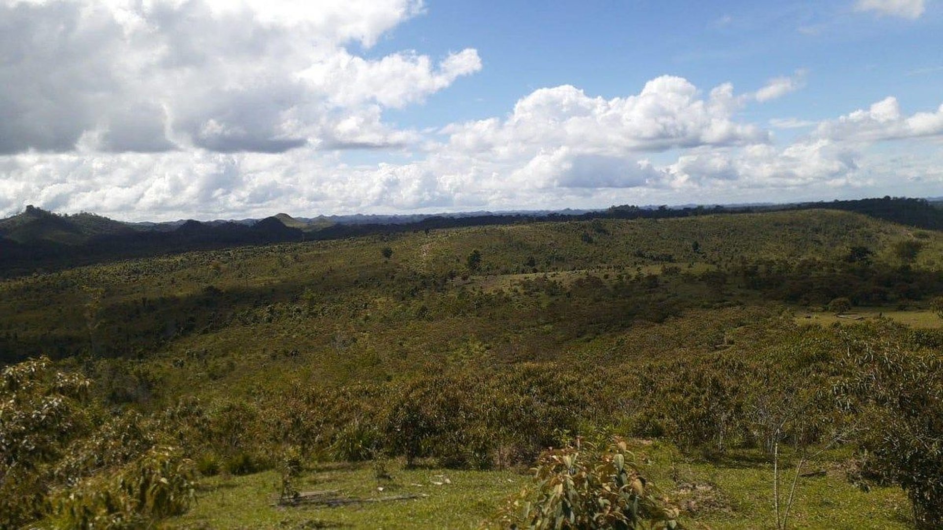 FINCA PROPIEDAD FORESTAL Y DE CONSERVACIÓN EN PETÉN - Miniatura 6