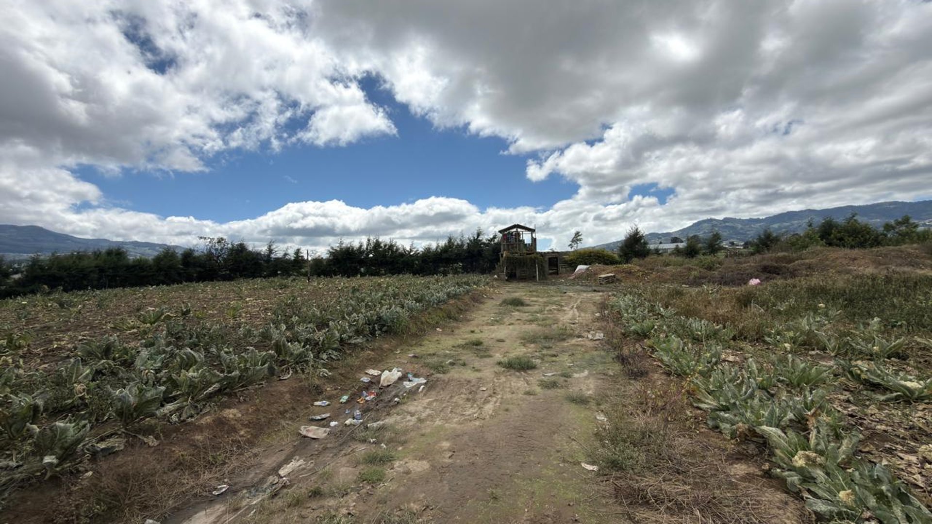 Terreno en renta en Km 72 Ruta Interamericana Patzicia, Chimaltenango - Miniatura 6