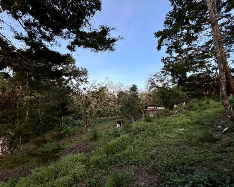 Terreno en venta, en Carretera al salvador