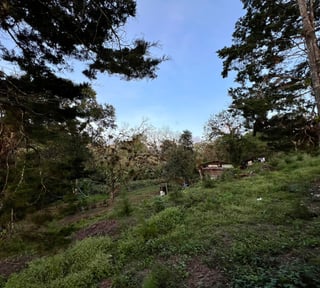 Terreno en venta, en Carretera al salvador