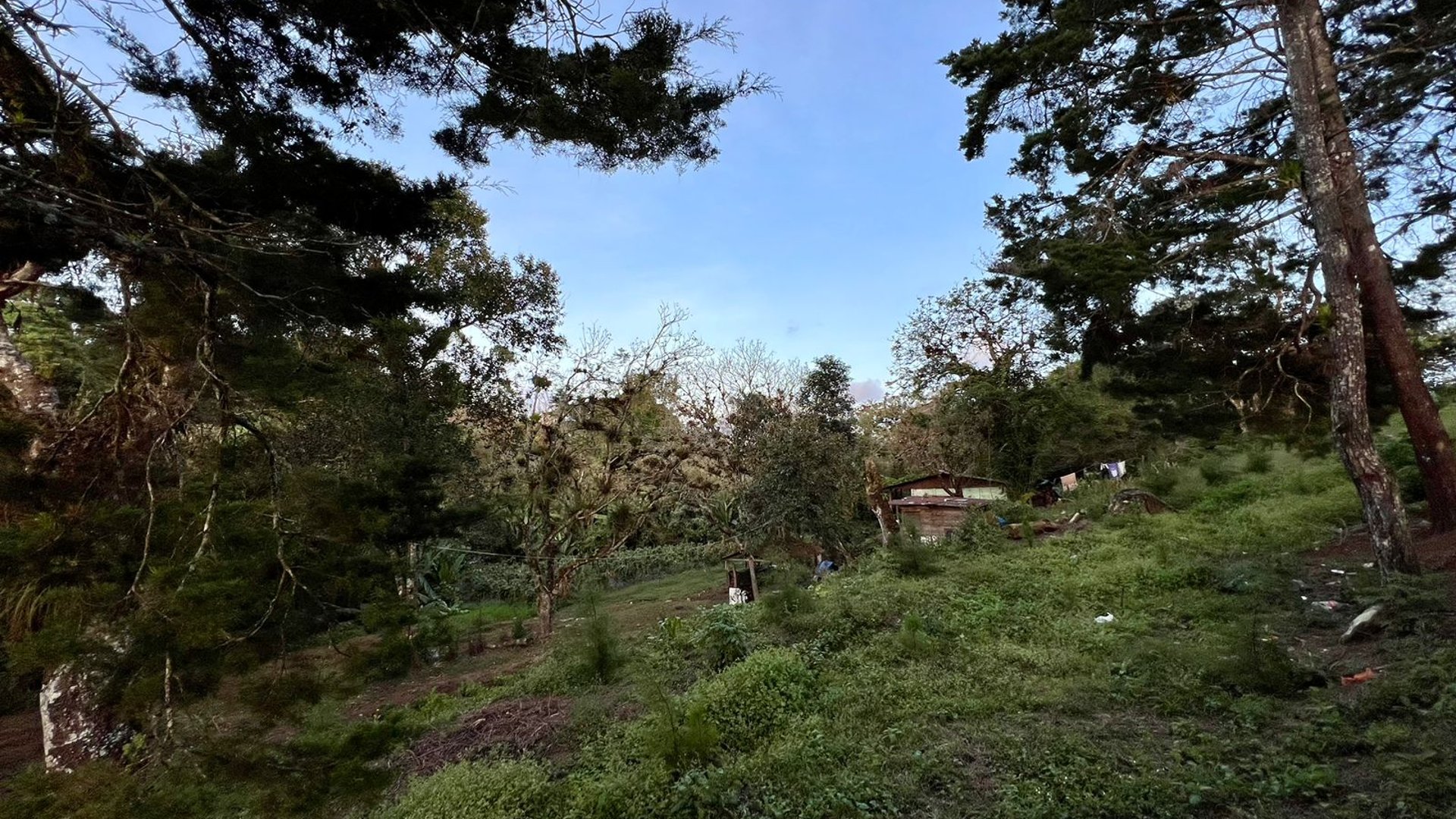Terreno en venta, en Carretera al salvador