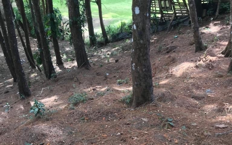 Muxbal/ Terreno en venta, CES