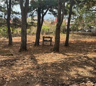 Terreno en venta – Km 10.5 Carretera al Atlántico