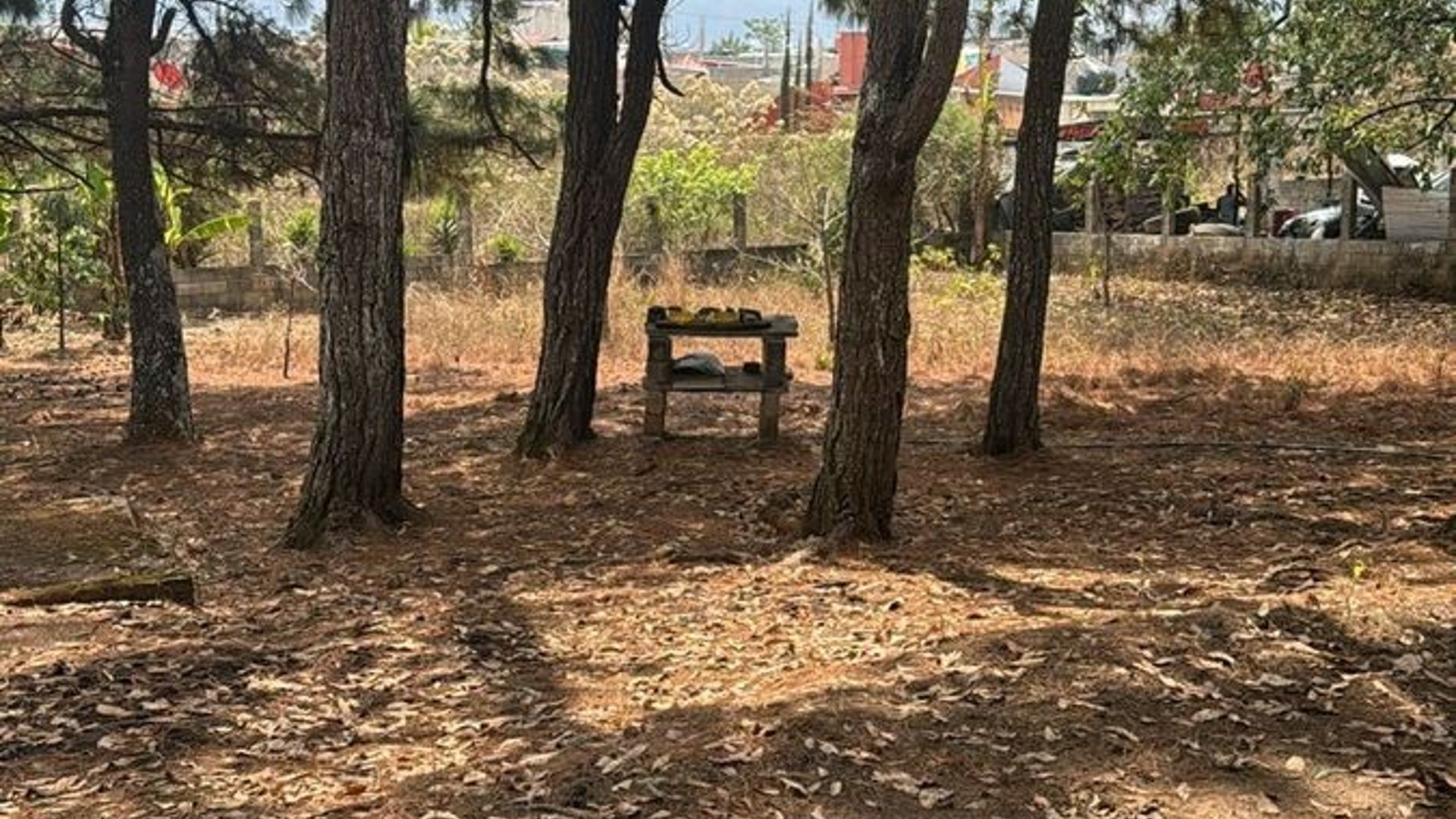 Terreno en venta – Km 10.5 Carretera al Atlántico