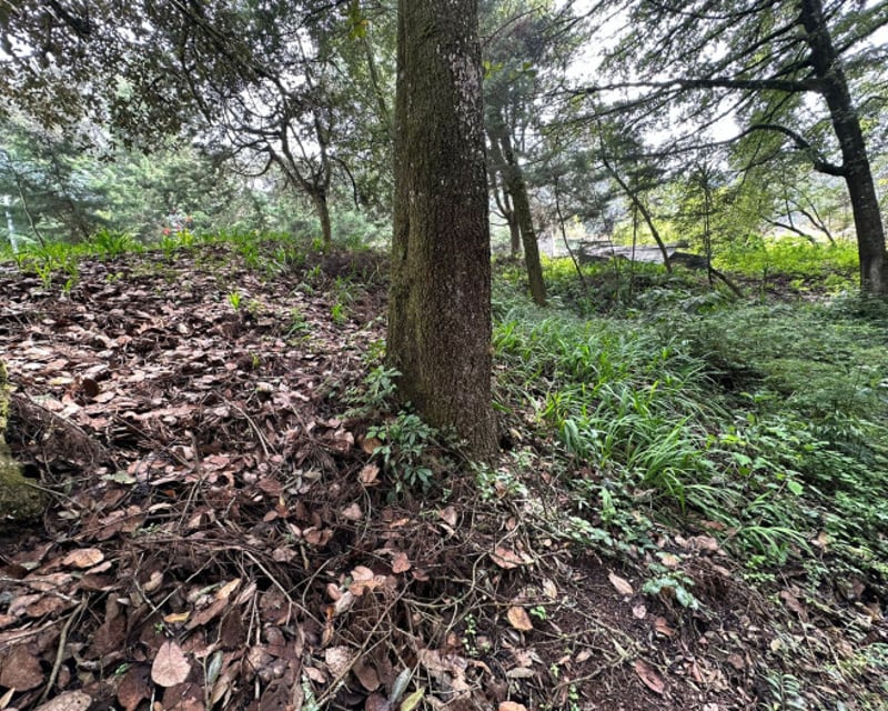 Terreno Residencial en Venta - Santa Lucia Milpas Altas