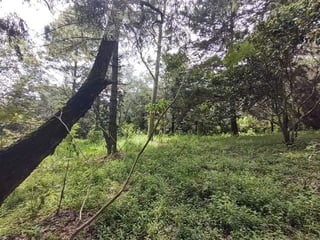 TERRENO EN VENTA EN EL KM 18.5 CARRETERA EL SALVADOR CAMINO A FRAIJANES - 3