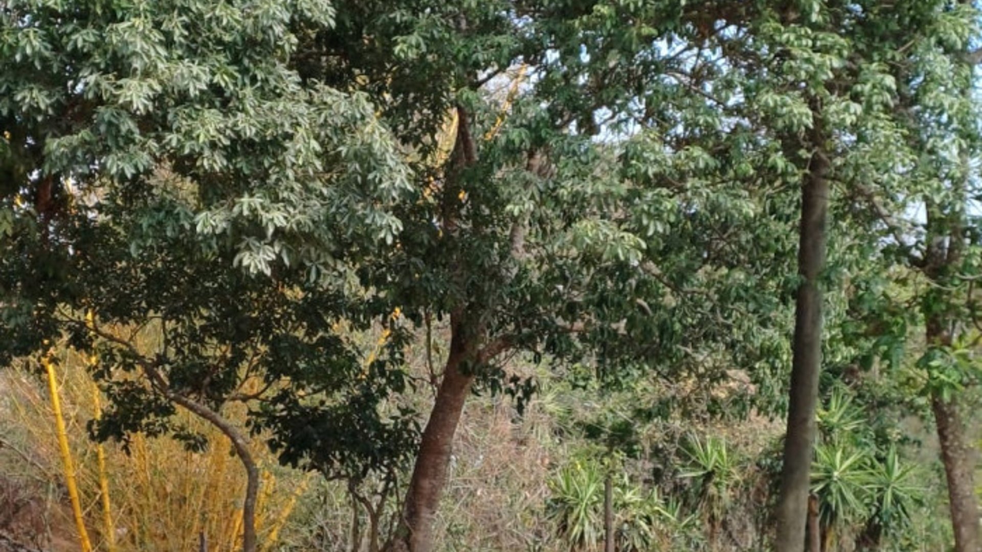 Terrenos en Venta, San Pedro Ayampuc - Miniatura 5