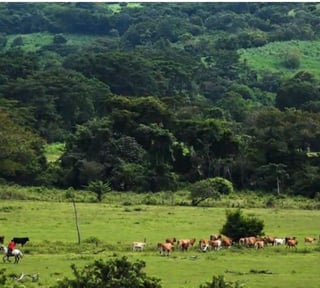 Finca en Venta – A Orilla de Carretera a chiquimulilla
