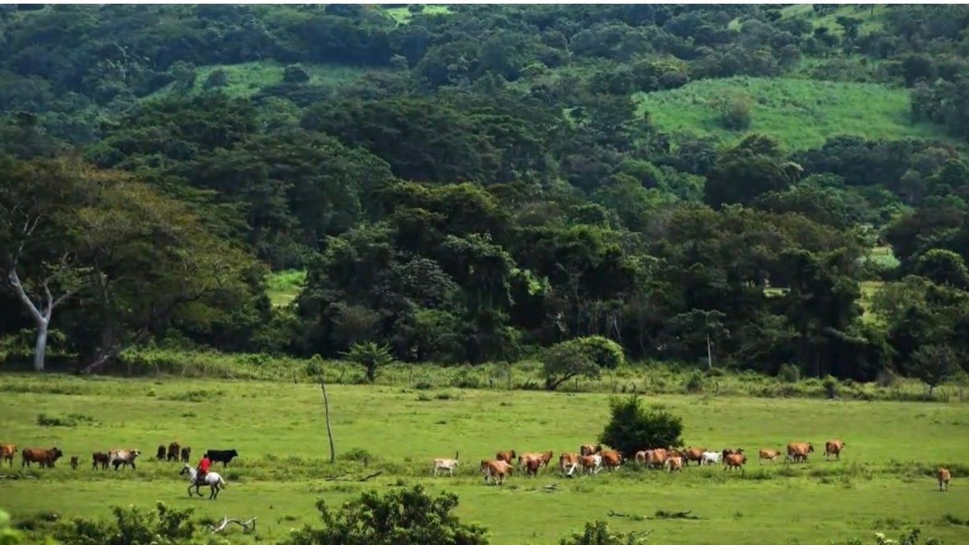 Finca en Venta – A Orilla de Carretera a chiquimulilla