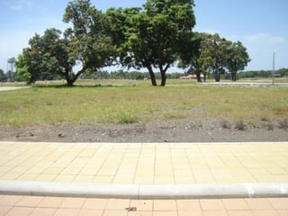 Terreno en Venta en Iztapa Escuintla Pergolas del mar - 3