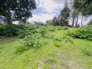 Terreno en ALQUILER en Carretera a El Salvador - Image 5