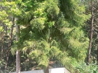 SANTA ROSALIA / CASA EN VENTA , CES - Image 12