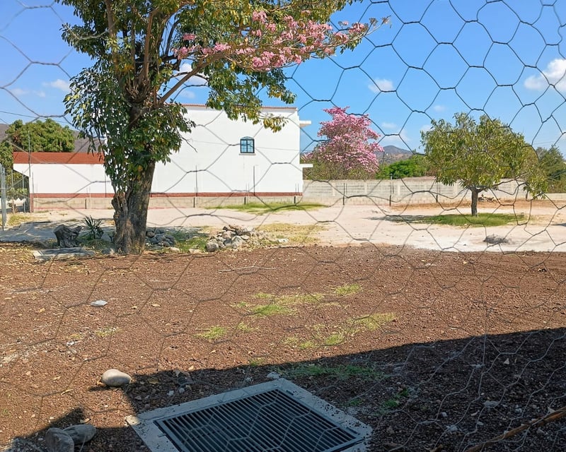 Terreno en Venta y Renta, Monjas Jalapa