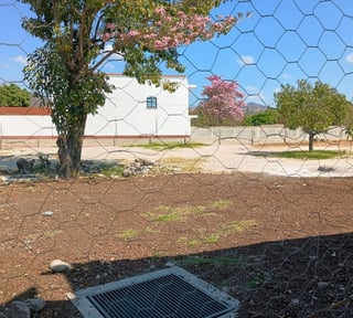 Terreno en Venta y Renta, Monjas Jalapa