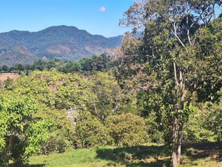 Terreno en Venta Santa Rosa de Lima - Image 10