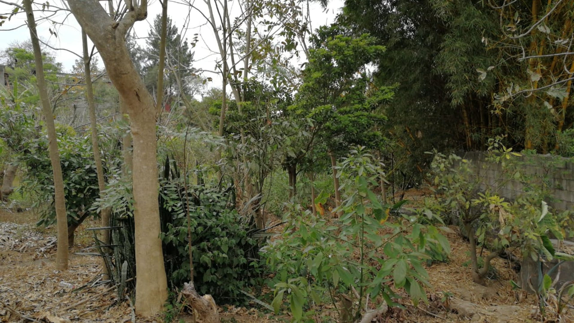 VENTA CASA CON TERRENO DE 4,268 VRS EN LAS TAPIAS ZONA 18