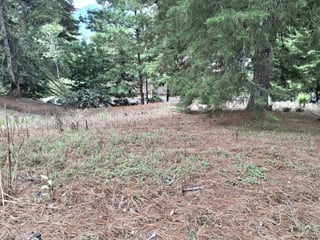 Terreno en VENTA en Zona 16, El Pulté Villa Ecuestre - 5