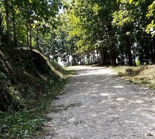 Finca con Plantación de Teca en Venta en Alta Verapaz | Inversión Forestal