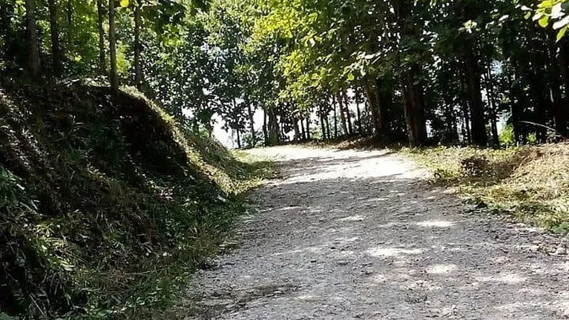 Finca con Plantación de Teca en Venta en Alta Verapaz | Inversión Forestal