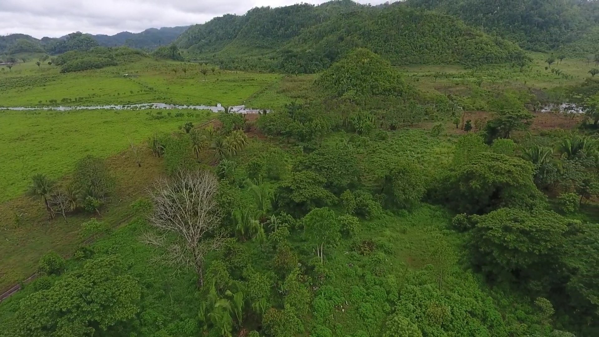 FINCA EN VENTA EN ALTA VERAPAZ - Miniatura 13
