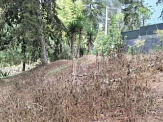 En Venta Terreno en Zona 16 Villa Ecuestre El Pulté - 2